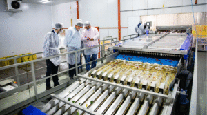 Río Negro apuesta al RIMI para impulsar inversiones, empleo y desarrollo productivo