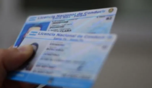 Investigan una presunta venta de licencias de conducir irregulares en Neuquén: cobraban hasta 0.000