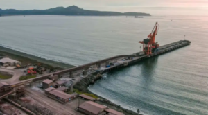 Chile quiere que Vaca Muerta llegue a Asia a través de los puertos del Biobío