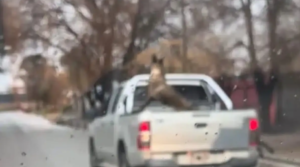 La familia del hombre que arrastró a un perro en Catriel rompió el silencio: “Fue un accidente”