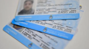 Licencias falsas en Neuquén: la ANSV colabora con la Justicia, pero no investiga al municipio 