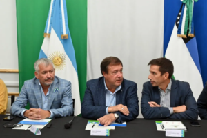 Río Negro cambiará la coparticipación municipal: cómo será el nuevo esquema que impulsa Weretilneck