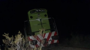 Susto en Río Negro: el Tren Patagónico descarriló luego de chocar con una vaca