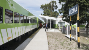 Suspenden el Tren Patagónico tras el descarrilamiento por el choque con bovinos 
