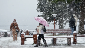 Alerta por nevadas y viento blanco: así estará el tiempo este fin de semana en Río Negro y Neuquén