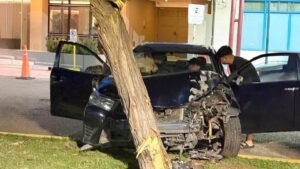 Espectacular siniestro vial: perdió el control, impactó  contra un árbol y terminó en sentido contrario