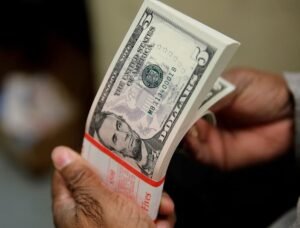 El dólar mantiene la racha alcista en Argentina y se consolida sobre los .500