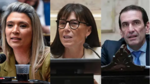 Ley de Tierras: el Senado aprobó el proyecto y así votaron los neuquinos