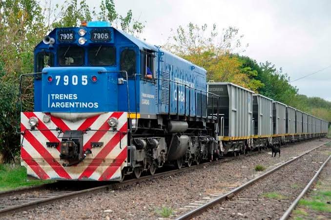Belgrano Cargas entra en proceso de privatización: licitan tres líneas ferroviarias por 50 años