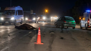 Un Peugeot chocó contra un caballo en la Ruta 69 y hubo demoras en el tránsito