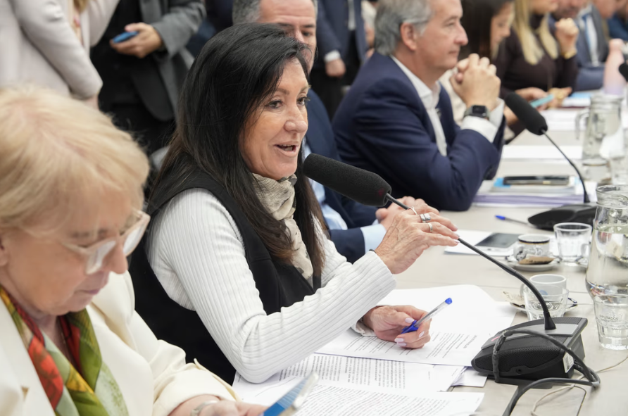 Discapacidad: el oficialismo consiguió dictamen de mayoría para una nueva ley permanente