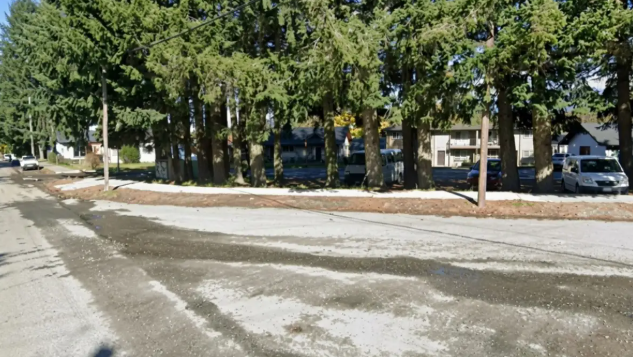 Violencia entre adolescentes: vecinos intervinieron para proteger a una estudiante en Villa La Angostura