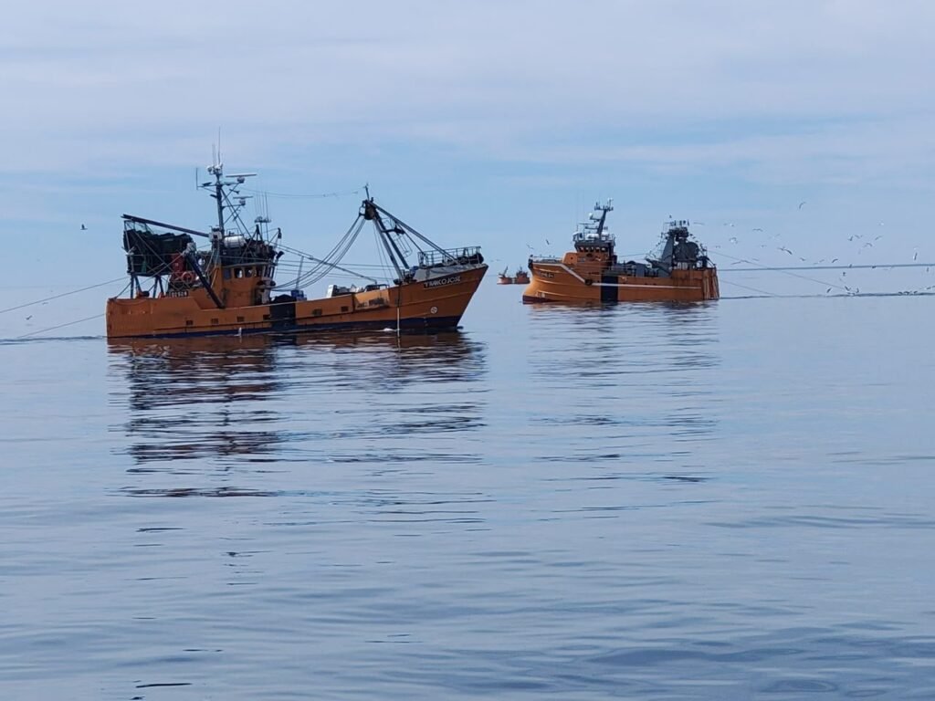 Chubut lidera por primera vez los desembarques pesqueros del país y proyecta superar las 300 mil toneladas