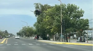 Neuquén tendrá un domingo ventoso y con cielo parcialmente nublado: la máxima llegará a los 22°C