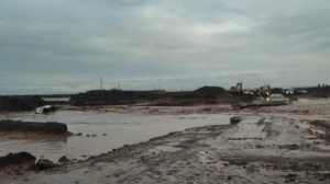 Temporal en Rincón de los Sauces: más de 50 asistencias, calles dañadas y una ruta intransitable