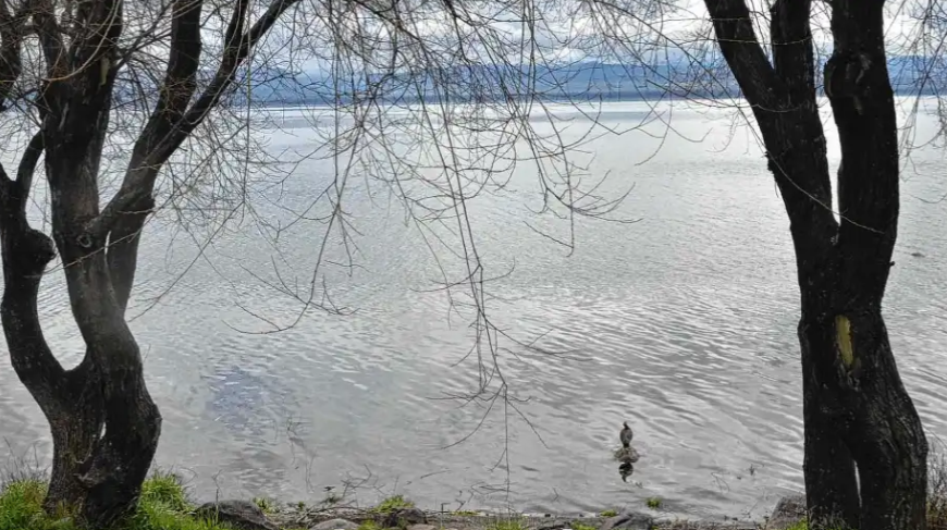 Hallaron el cuerpo de un hombre en la costa del lago Nahuel Huapi en Bariloche