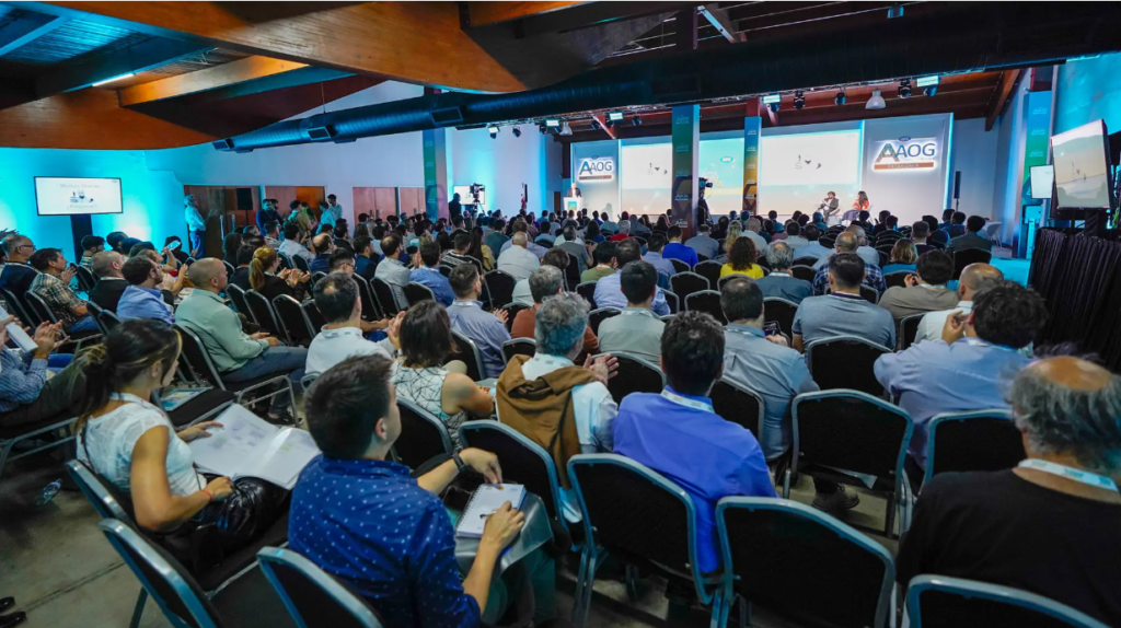 Río Negro lleva a la AOG Patagonia sus proyectos energéticos y el potencial exportador de Punta Colorada