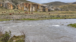 Tras más de una década de sequía, las lluvias devuelven la esperanza a los productores rionegrinos