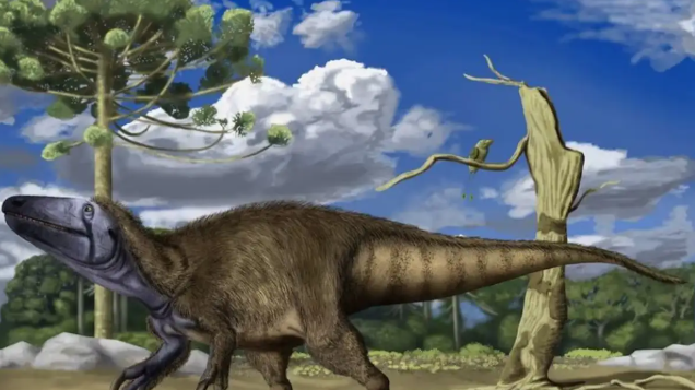Descubrieron en Neuquén una nueva especie de dinosaurio carnívoro que medía siete metros y tenía enormes garras