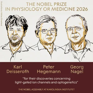 Premio Nobel de Medicina 2026: tres científicos fueron galardonados por sus descubrimientos en optogenética