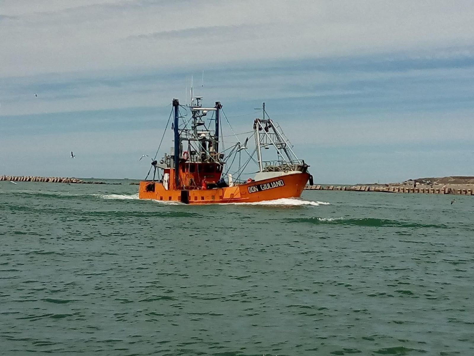 Pesca definió la fecha para el inicio de la prospección de langostino en aguas provinciales del Chubut