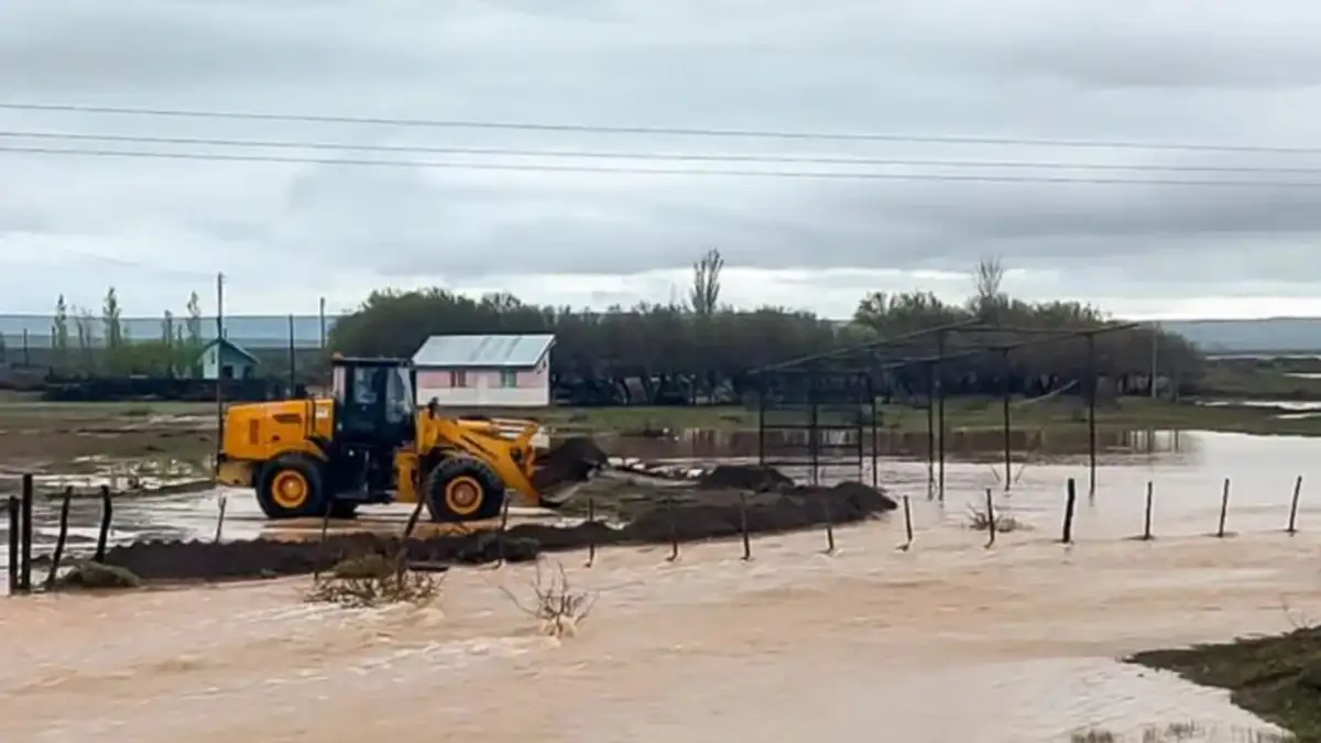 Neuquén declaró la emergencia meteorológica por seis meses y creó un comité especial Neuquén declaró la emergencia meteorológica por seis meses y creó un comité especial