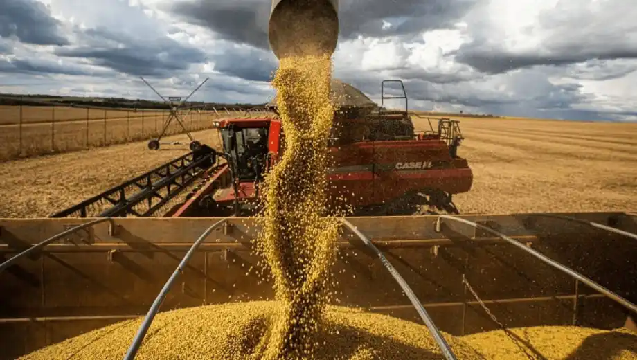 El agro argentino exportó 88,9 millones de toneladas en nueve meses y superó el récord de 2021