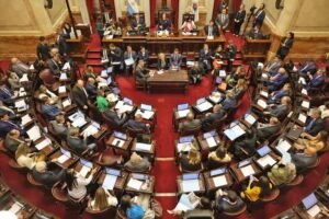 LLA y el peronismo se disputan las bancas del Consejo de la Magistratura y crece la tensión en el Senado